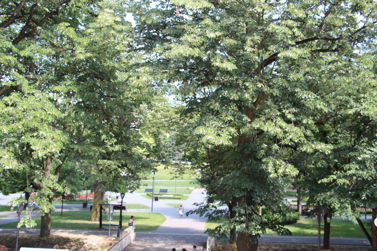 Vila Emilia Vrnjačka Banja エクステリア 写真