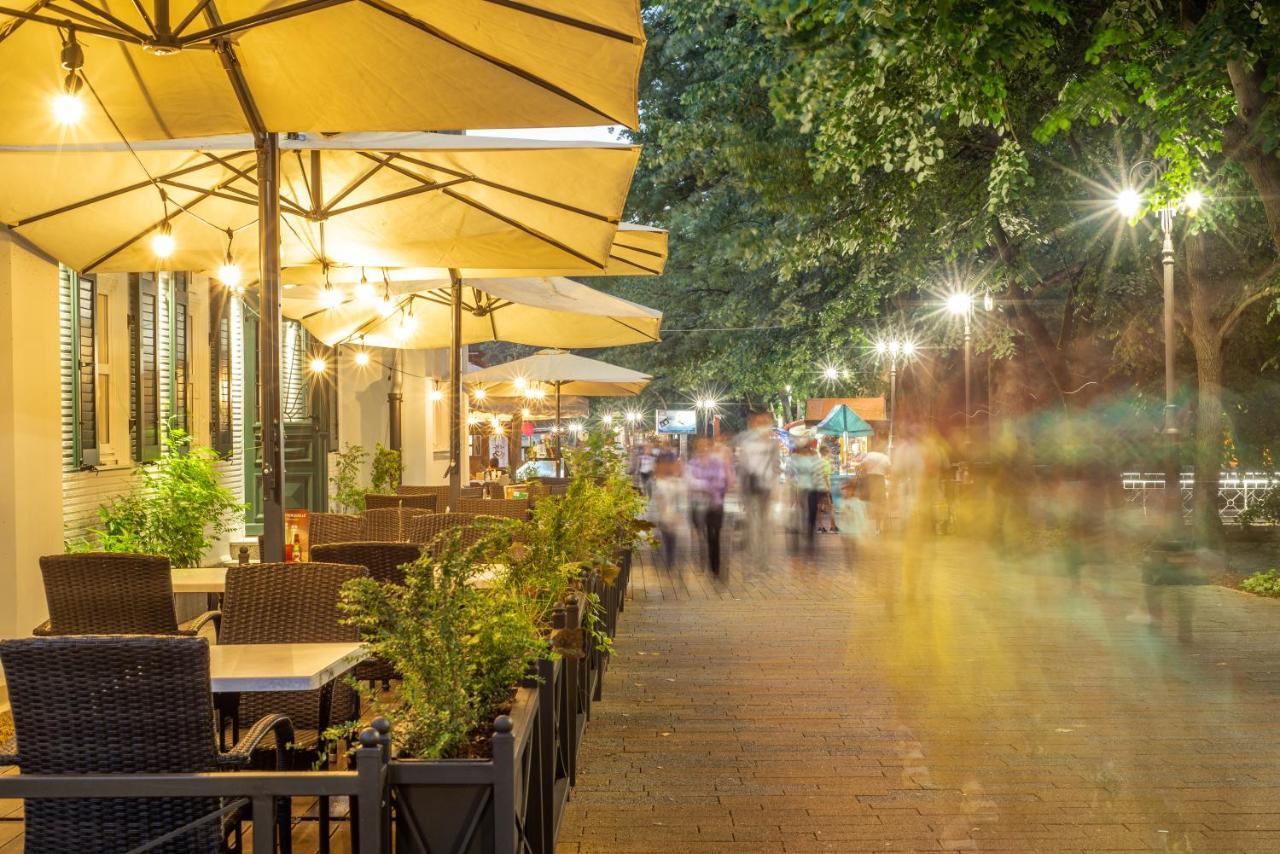 Vila Emilia Vrnjačka Banja エクステリア 写真