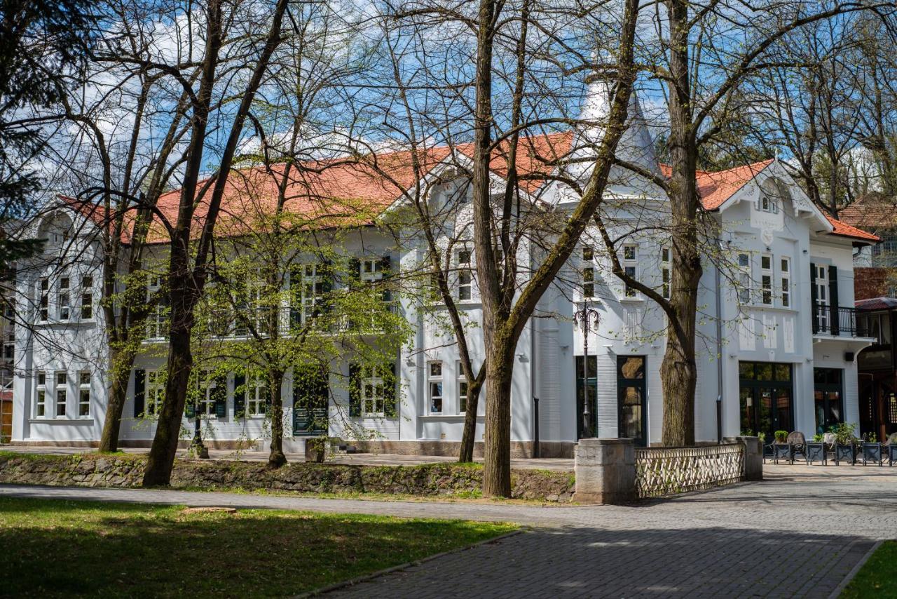 Vila Emilia Vrnjačka Banja エクステリア 写真